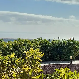 Country house The Black Horse Canarias - Adults Only